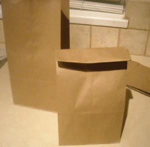 folded paper bag