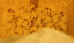 freshly popped popcorn