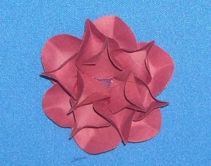 layer of 3 petals