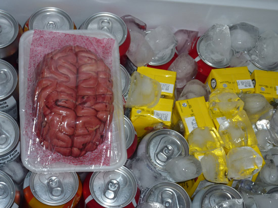 Brain in cooler