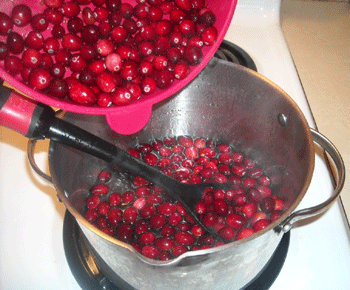 5-add-cranberries