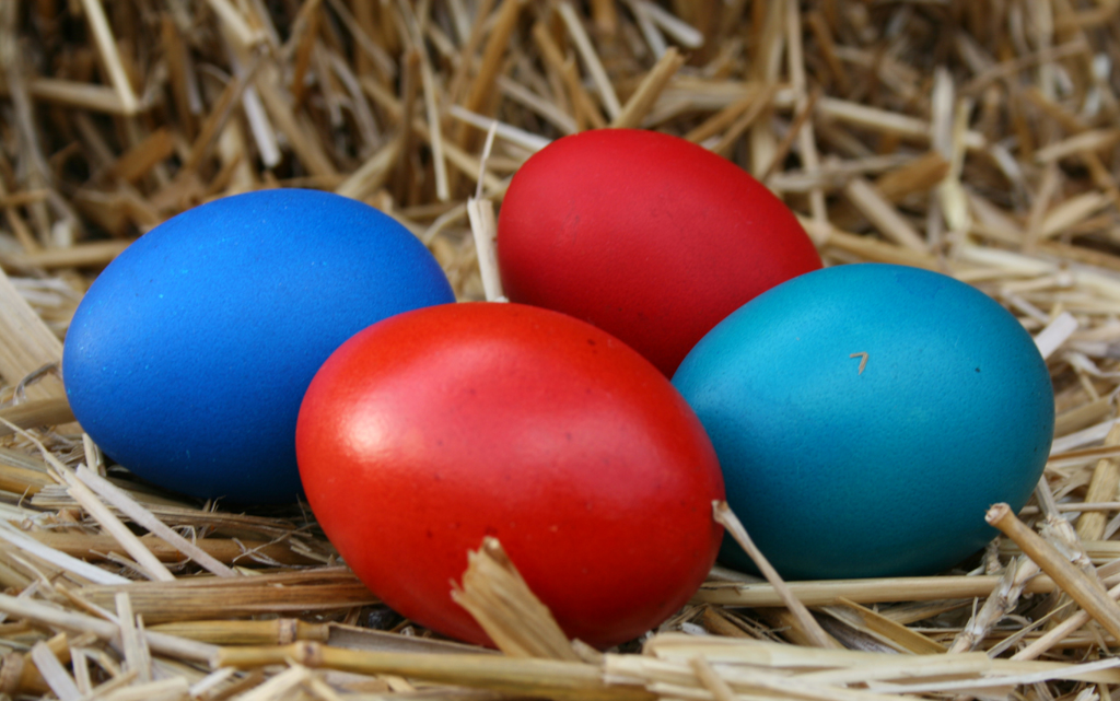 red-blue-egg