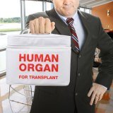 Human Organ Lunch Box